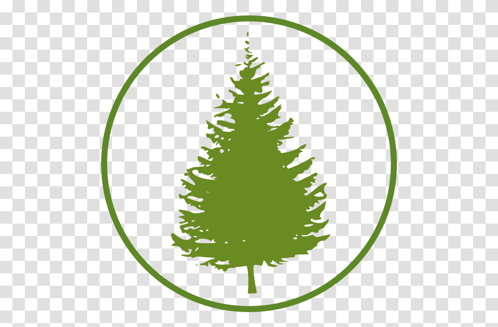 Forestcircle Clip Art Pine Tree Silhouette Pine Tree Silhouette Clipart, Plant, Ornament, Christmas Tree, Conifer Transparent Png