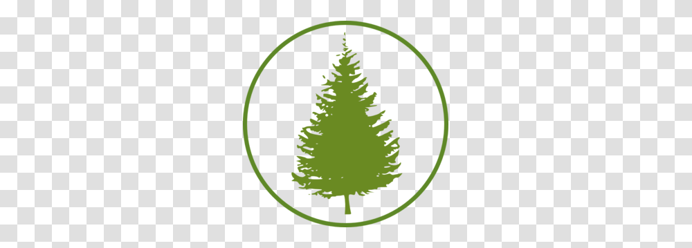 Forestcircle Clip Art, Tree, Plant, Ornament, Pine Transparent Png