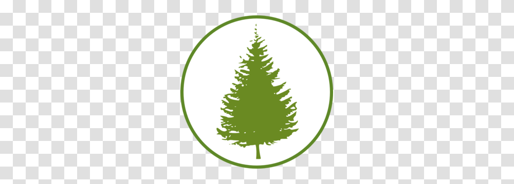 Forestcircle Clip Art, Tree, Plant, Pine, Ornament Transparent Png