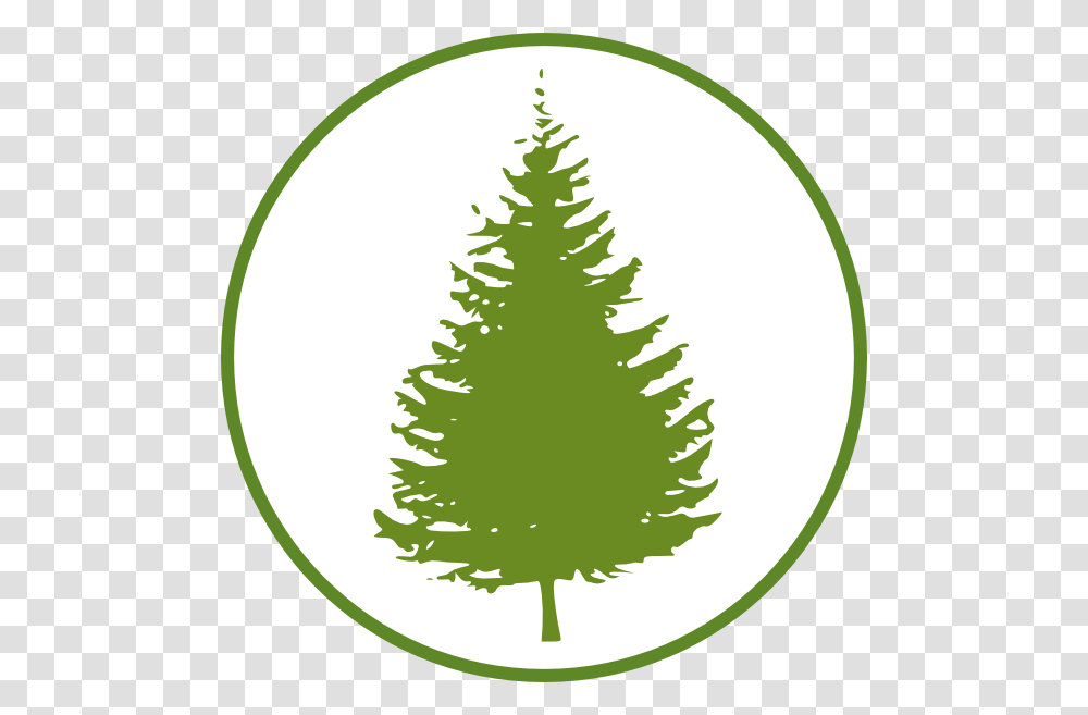Forestcircle Svg Clip Arts Pine Tree Silhouette Background, Plant, Conifer, Ornament, Christmas Tree Transparent Png