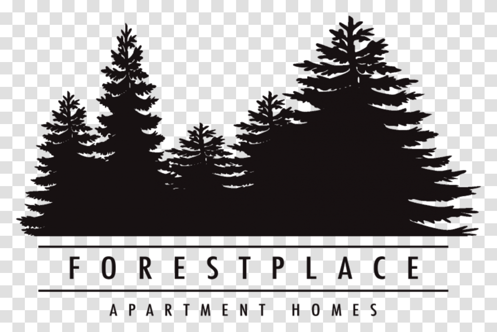 Forestplace Apartment Homes Pine Tree Silhouette Vector Free, Plant, Fir, Abies, Conifer Transparent Png