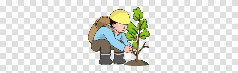 Forestry Clip Art Clipart, Plant, Person, Human, Seed Transparent Png
