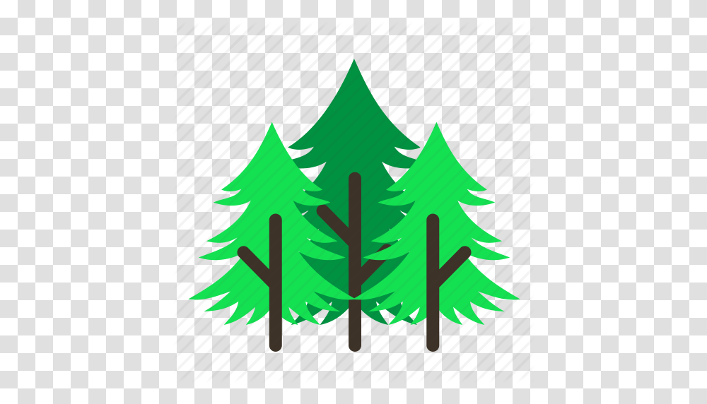 Forestry Forrest Leaves Nature Pine Tree Trees Icon, Plant, Ornament, Christmas Tree, Fir Transparent Png