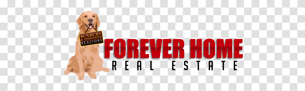 Forever Home Real Estate Blog Crown Cement, Word, Dog, Mammal, Text Transparent Png
