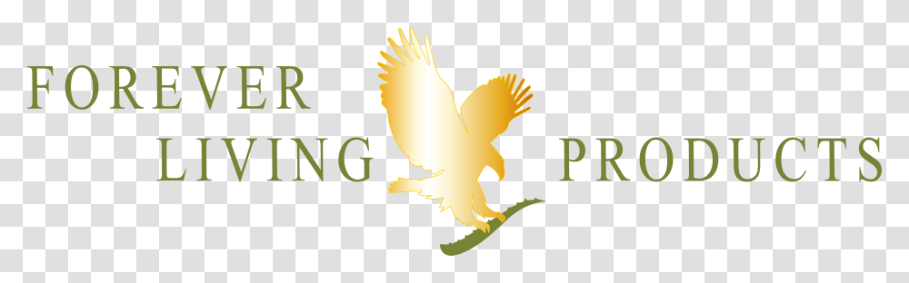 Forever Living Products Logo, Bird, Animal, Eagle, Flying Transparent Png