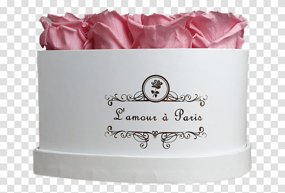 Forever Rose Pink Garden Roses, Box, Plant, Flower, Blossom Transparent Png