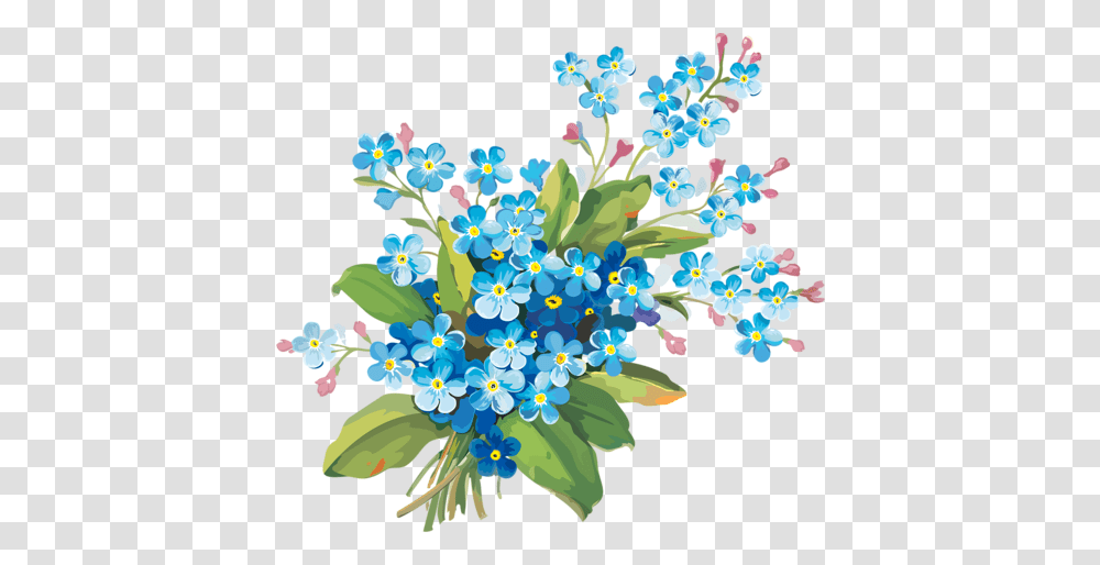 Forget Me Not Clipart One, Floral Design, Pattern, Plant Transparent Png