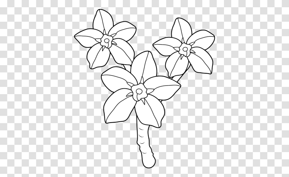 Forget Me Not Coloring, Plant, Flower, Blossom, Petal Transparent Png