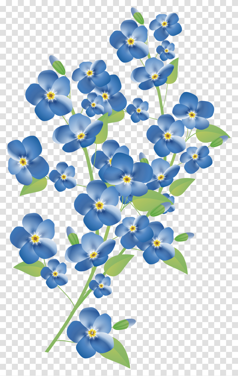 Forget Me Not Pic Forget Me Not Flower, Plant, Blossom, Pansy, Petal Transparent Png