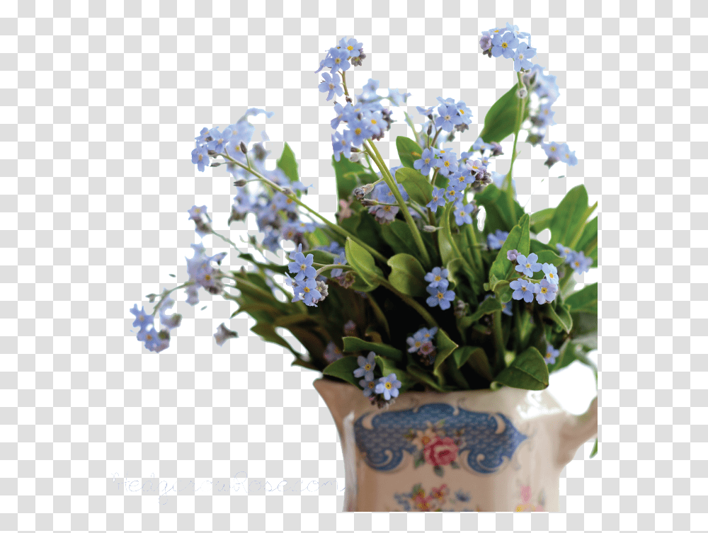 Forget Me Not Pic Forget Me Not, Plant, Flower, Blossom, Flower Bouquet Transparent Png