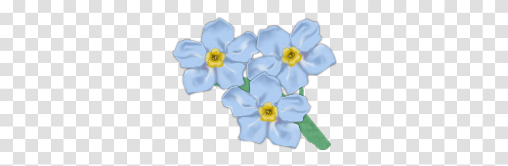 Forget Me Not Picture Forget Me Not Flower Clipart, Plant, Blossom, Daffodil, Geranium Transparent Png