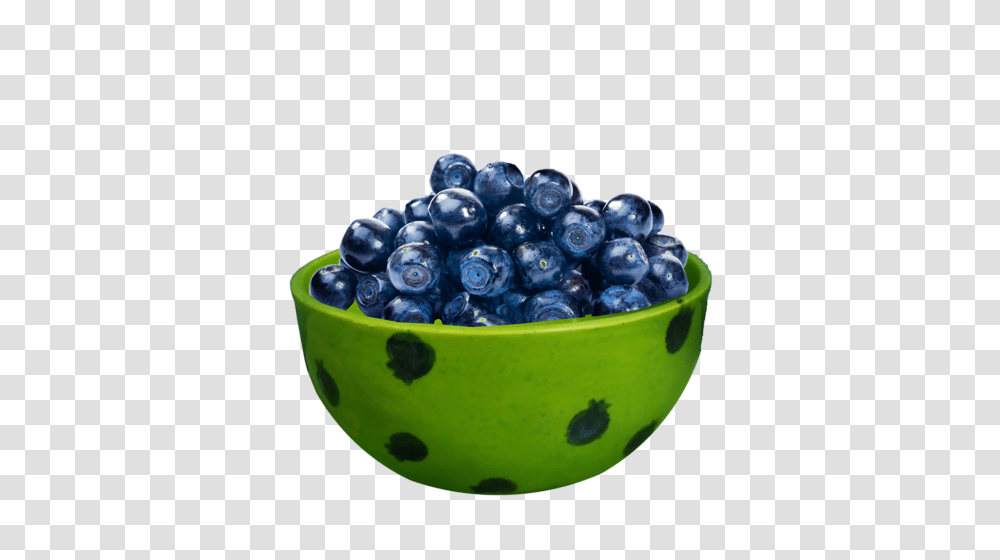 Forgetmenot Blueberries, Bowl, Plant, Blueberry, Fruit Transparent Png