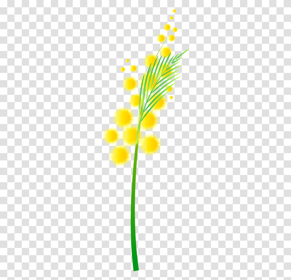 Forgetmenot Flowers, Plant, Blossom Transparent Png