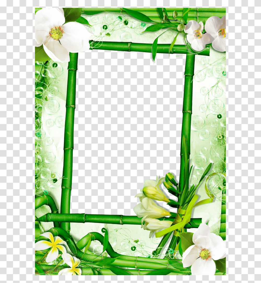 Forgetmenot Spa Frames Bamboo, Plant, Green, Interior Design, Indoors Transparent Png
