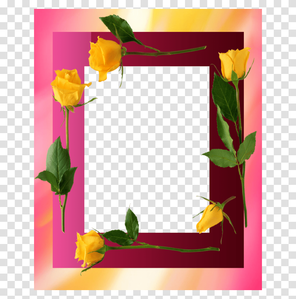 Forgetmenot Yellow Roses Frames, Plant, Flower, Petal, Bird Transparent Png