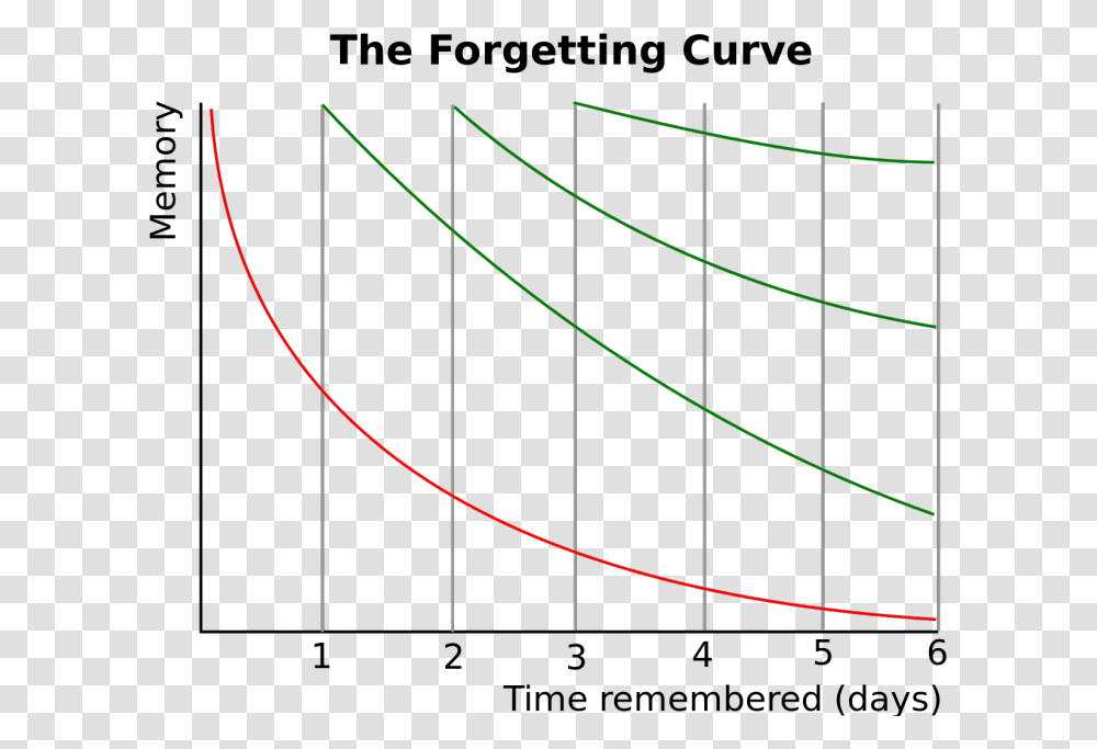 Forgetting Curve Memory Accuracy Over Time, Bow, Plot, Diagram Transparent Png