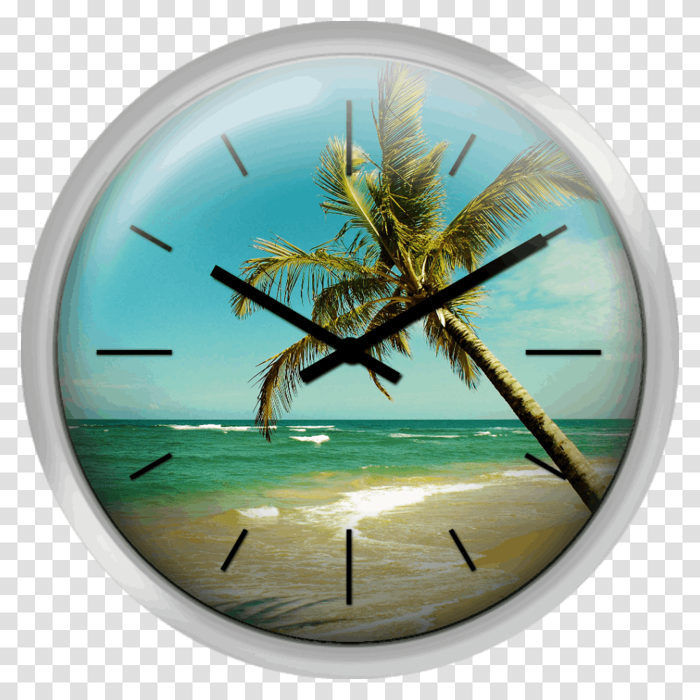 Formas De Um Pas Tropical Wall Clock, Analog Clock, Bird, Animal, Clock Tower Transparent Png