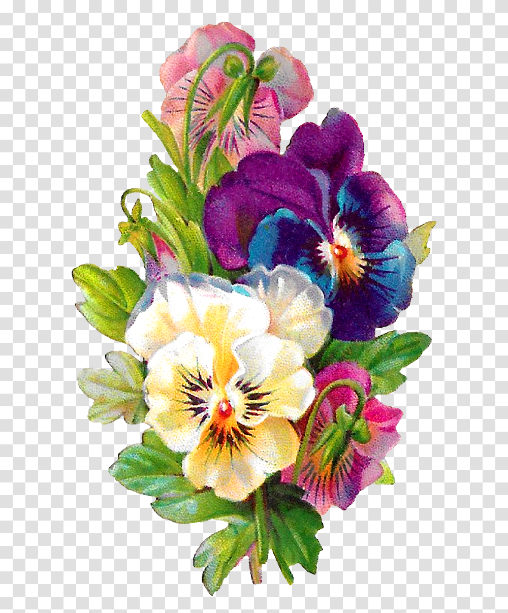 Format Flower Clipart, Plant, Blossom, Geranium, Pansy Transparent Png