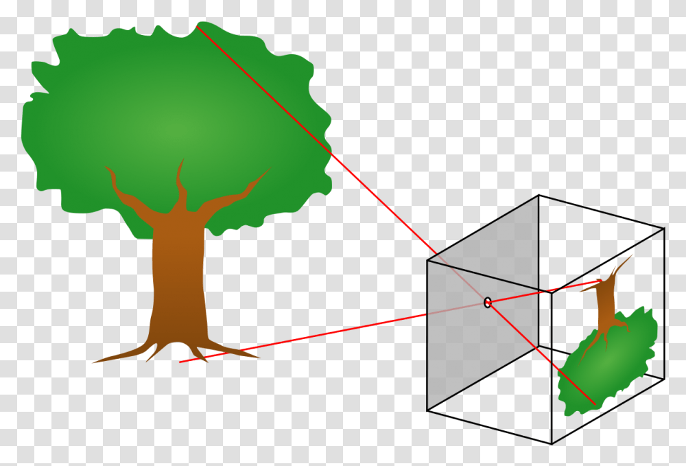Formed By Pinhole Camera, Nature, Outdoors, Plot, Diagram Transparent Png