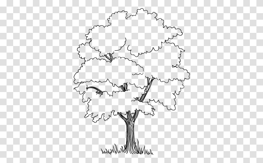 Forrest Drawing Outline Jungle Tree Black And White Clipart, Plot, Diagram, Poster, Map Transparent Png