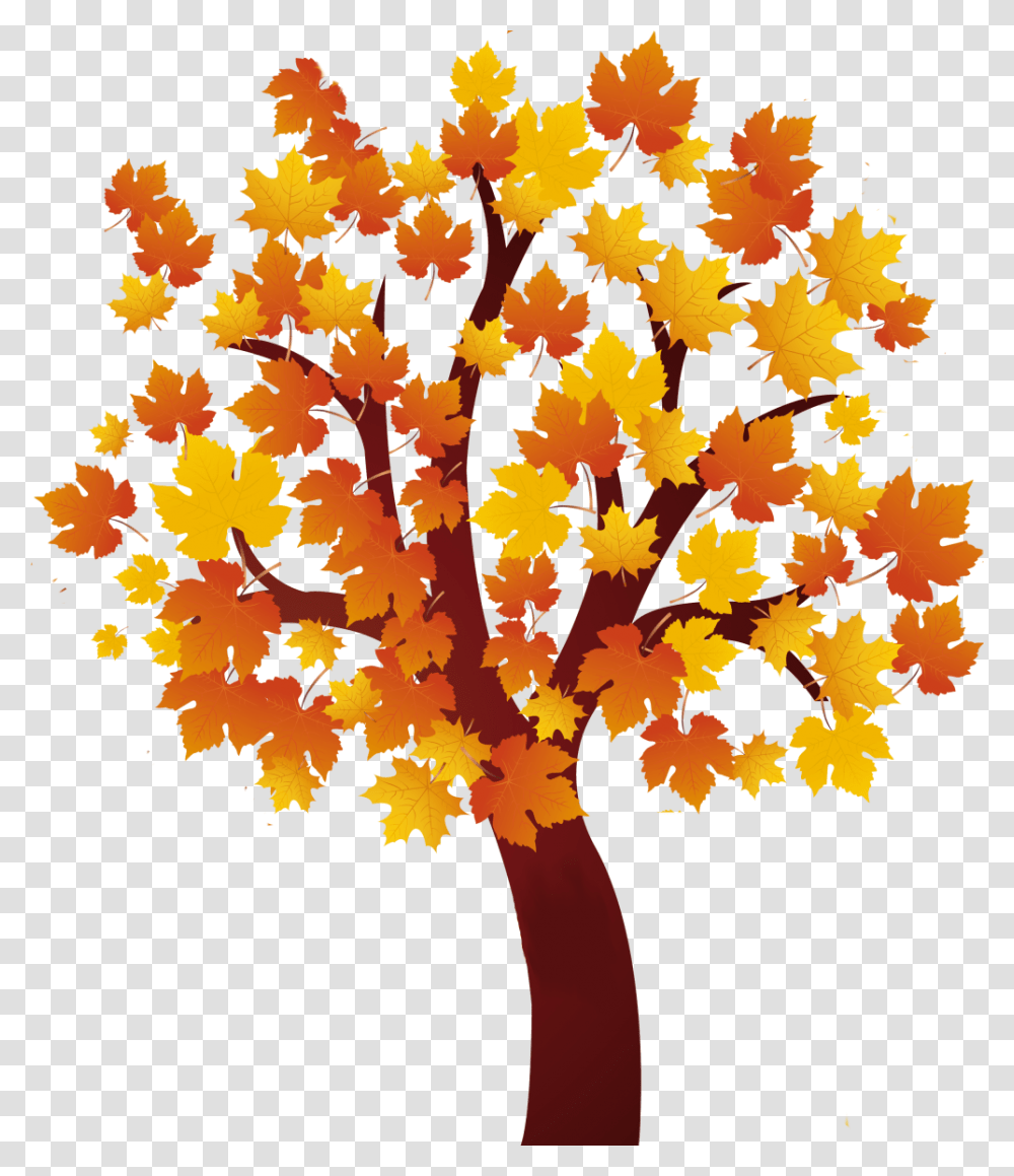 Forrest, Leaf, Plant, Tree, Maple Transparent Png