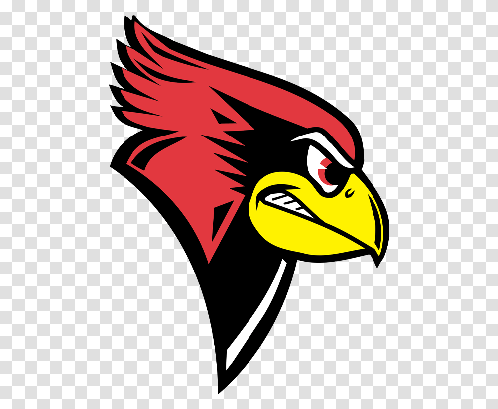 Fort Worth Christian Cardinals Logo Illinois Football Team, Bird, Animal, Art, Graphics Transparent Png