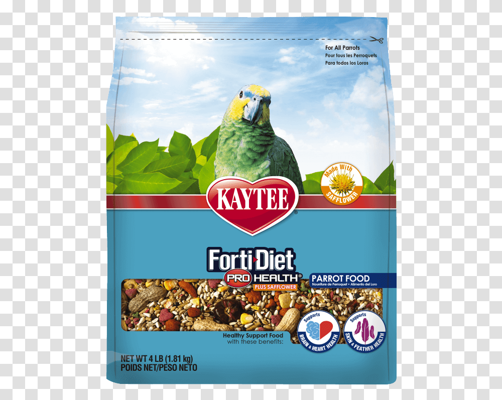 Forti Diet Pro Health With Safflower Parrot Food Kaytee Conure Food, Advertisement, Poster, Flyer, Paper Transparent Png