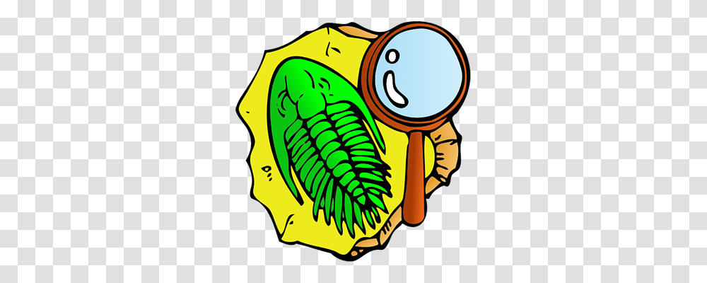 Fossil Technology, Plant, Food, Rattle Transparent Png