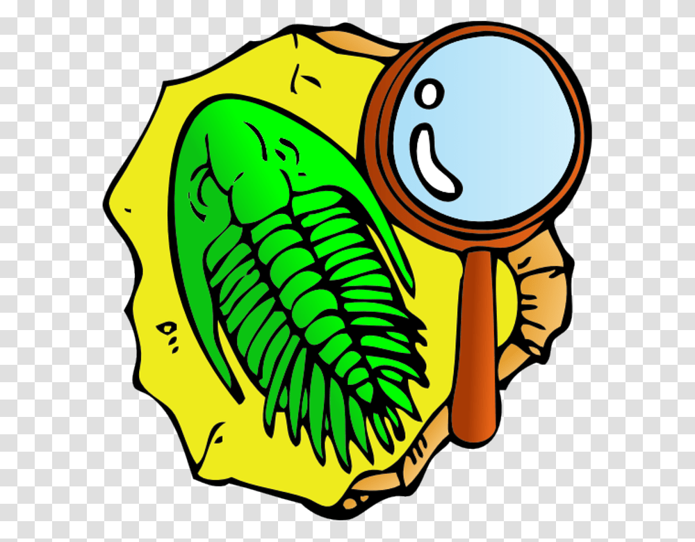 Fossil Clipart Geology Rock, Plant, Food, Rattle Transparent Png