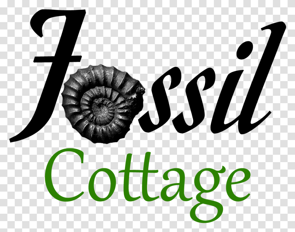 Fossil Cottage Fossil Cottage, Photography, Animal, Invertebrate Transparent Png