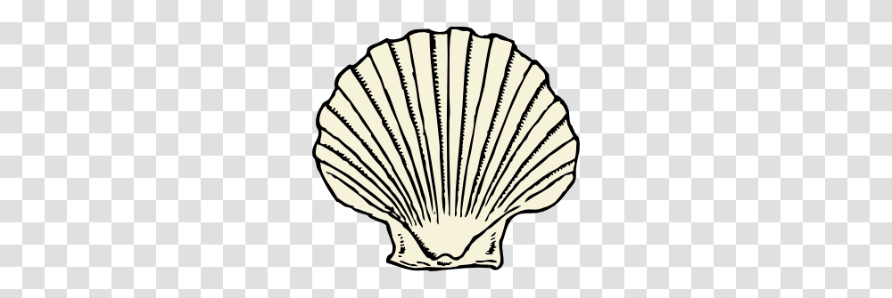 Fossils Clipart, Mixer, Appliance, Clam, Seashell Transparent Png