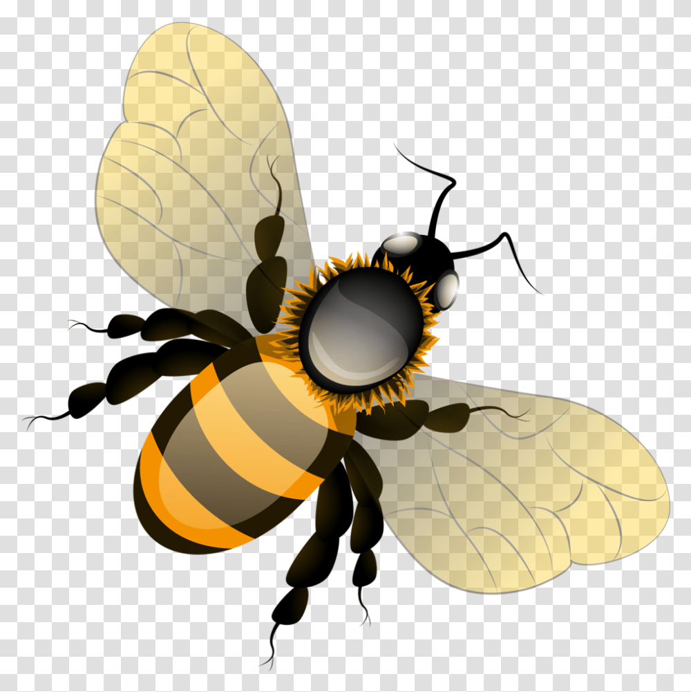 Fotki Bee Clipart Bees Clip Art Illustrations Background Cute Cartoon Bee, Lamp, Insect, Invertebrate, Animal Transparent Png