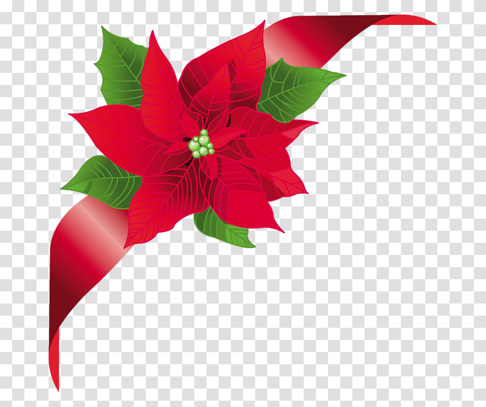 Fotki Christmas Frames Christmas Art Flower Clipart Christmas Floral Vector, Plant, Floral Design, Pattern Transparent Png