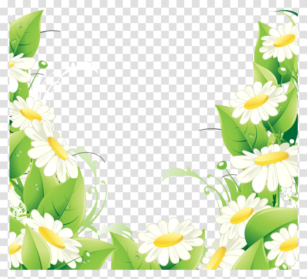 Fotki Flower Backgrounds Pretty Flowers Daisy Flower Bordure De Fleur, Floral Design, Pattern Transparent Png