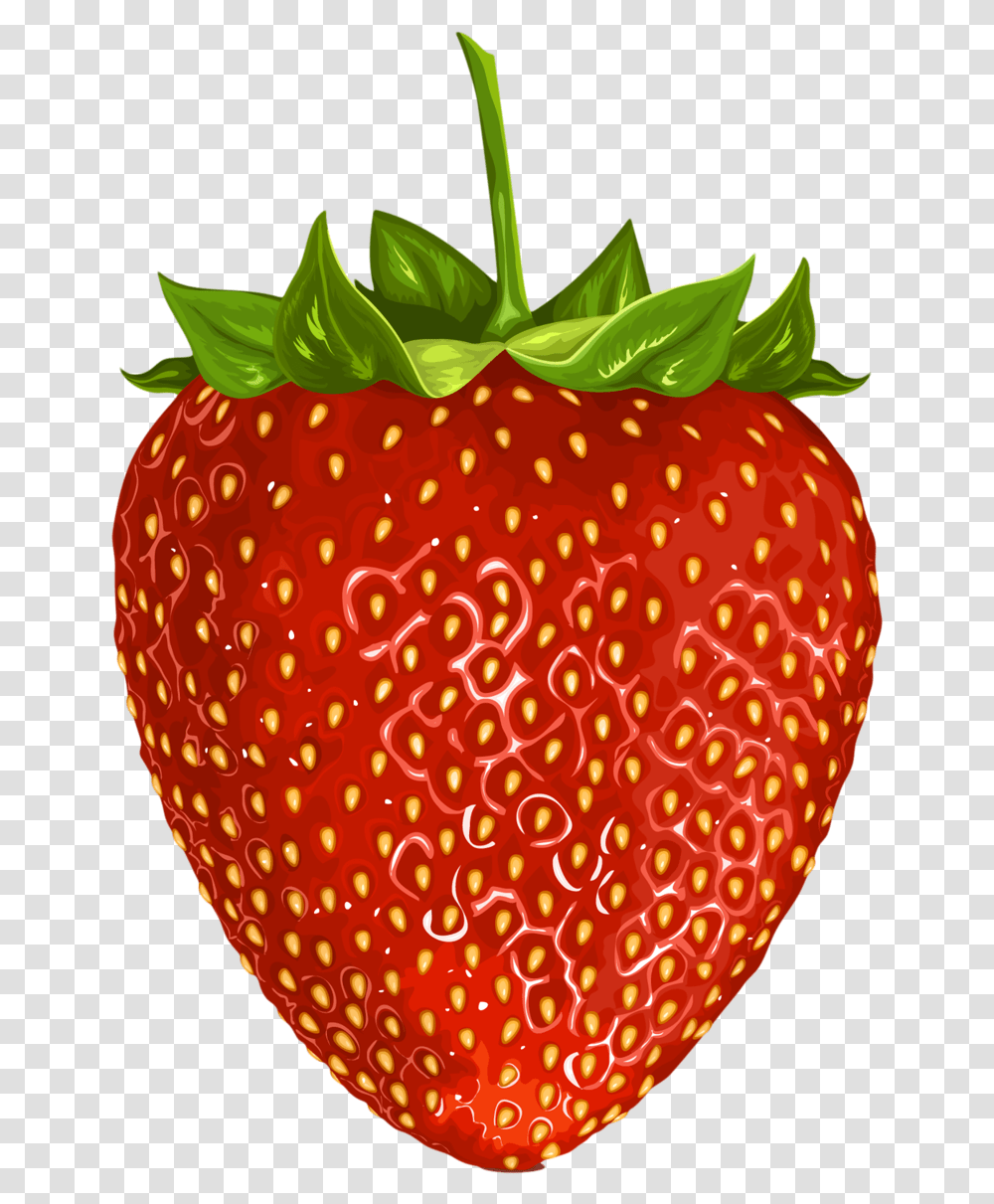 Fotki Fruit Clipart Food Clipart Fruits Images Fruits Bunch Of Fruit Clipart, Strawberry, Plant Transparent Png