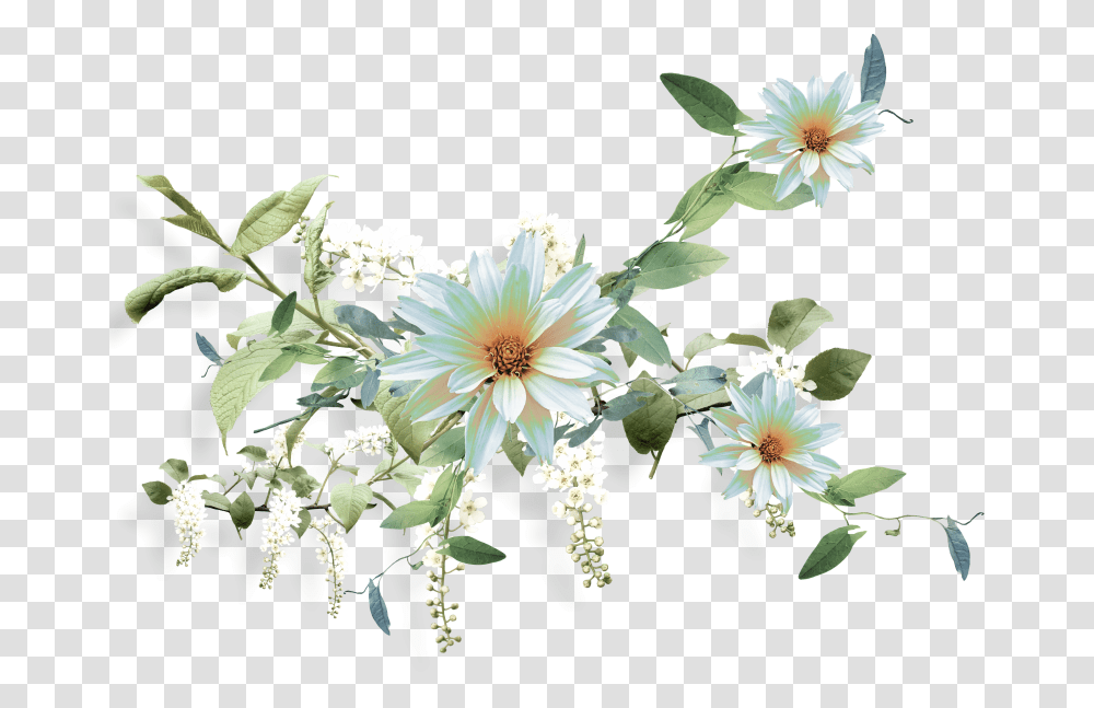 Fotki Nurcan Cceoluemeksensin Render Flowers, Plant, Floral Design, Pattern Transparent Png
