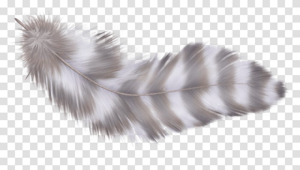 Fotki Parrot Feathers Clip Art Photoshop Parrot Feather, Electronics, Computer, Purple Transparent Png