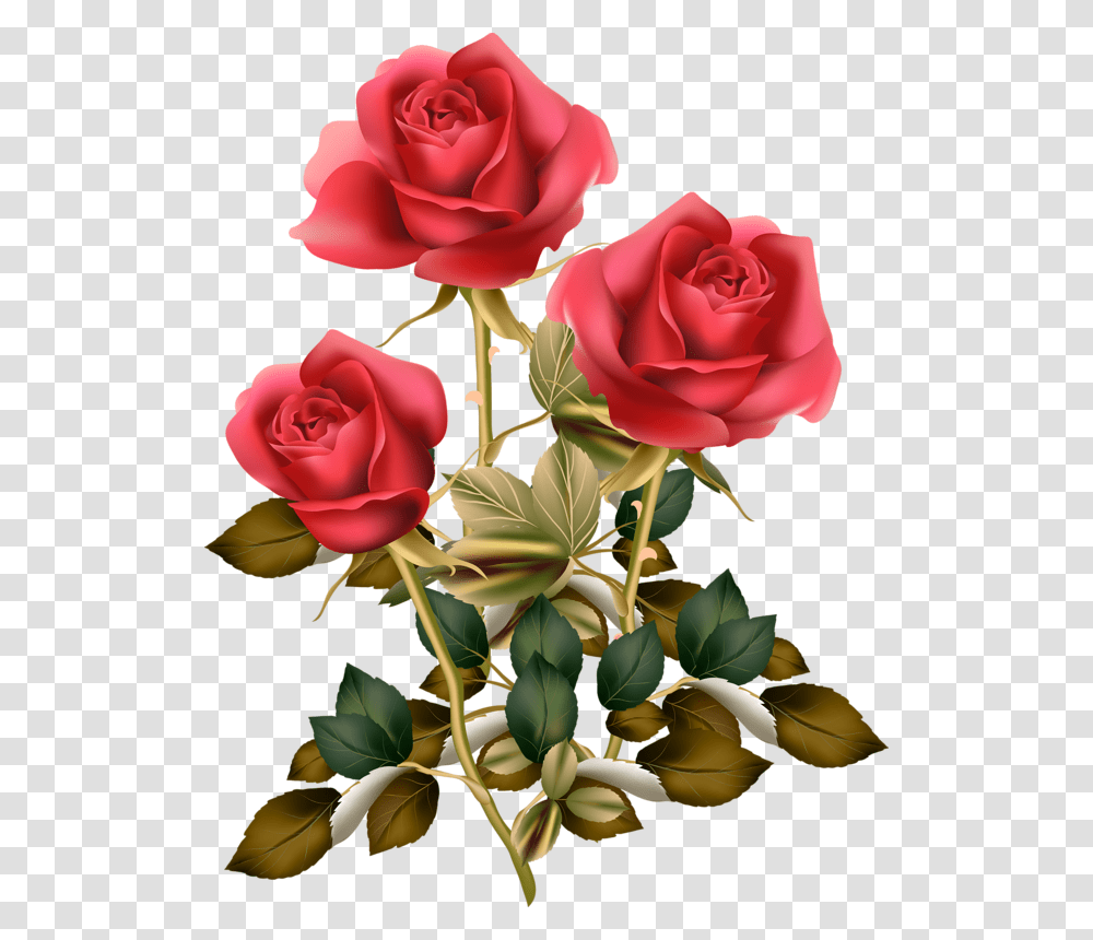 Fotki Red Rose Red Roses Rose Clipart Vintage Red Roses, Flower, Plant, Blossom Transparent Png