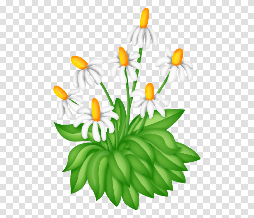 Foto Avtor Olinka Lilinka Na Iandeks Fotkakh Flowers, Plant, Blossom, Iris, Birthday Cake Transparent Png