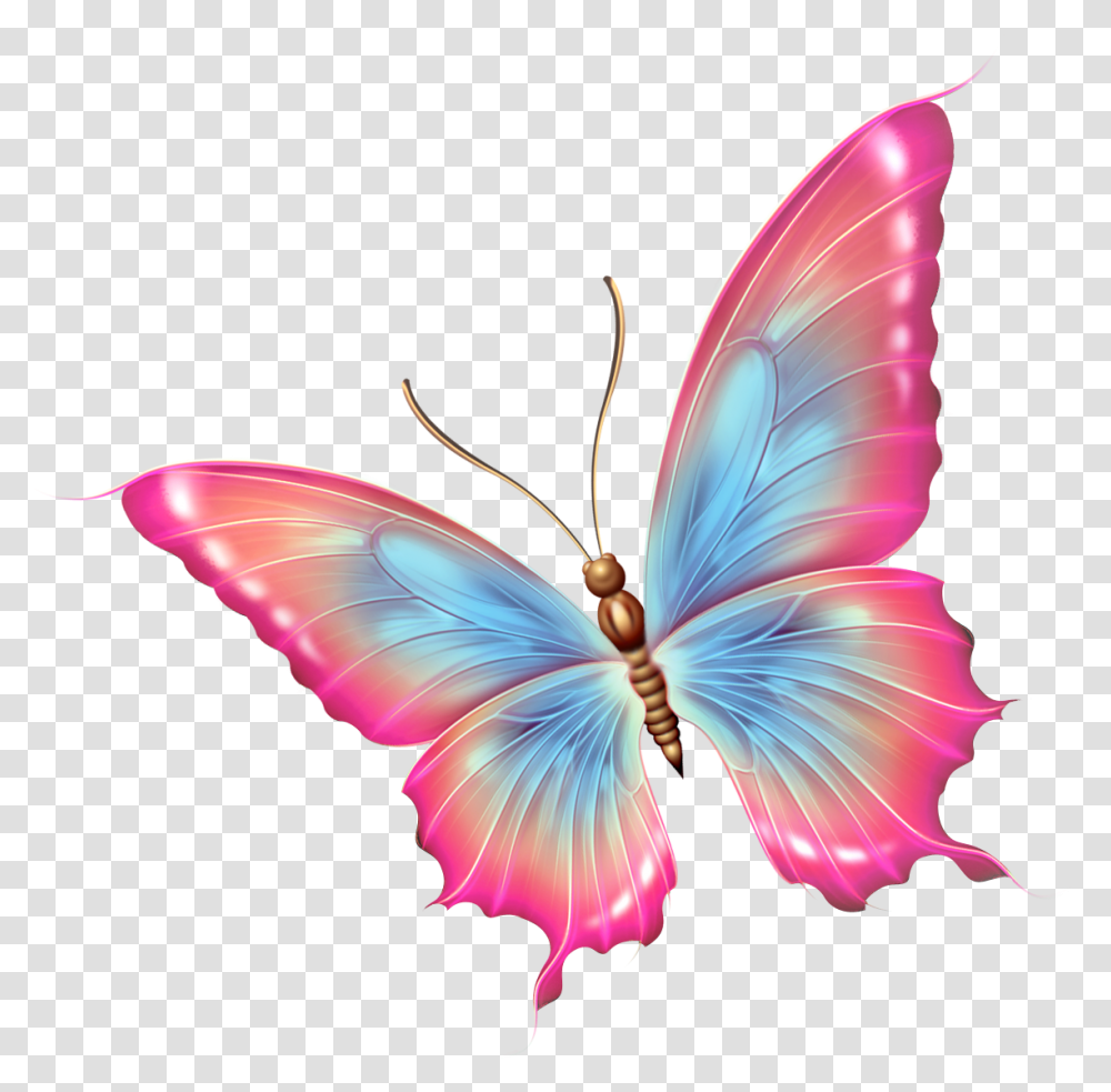 Foto Avtor Ya Pink And Blue Butterfly, Ornament, Pattern, Fractal, Insect Transparent Png