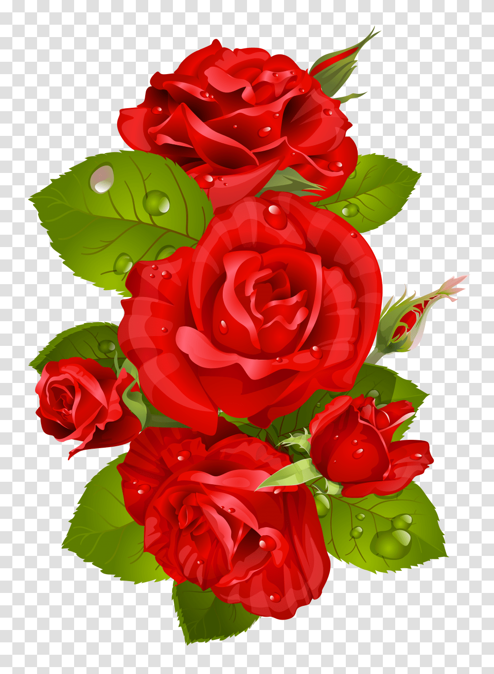 Fotoshop Red Roses Flowers Transparent Png