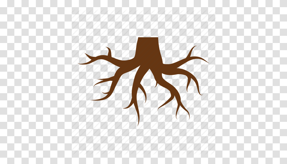 Foundation Nature Root Roots Stump Tree Tree Stump Icon, Plant, Animal, Airplane, Vehicle Transparent Png