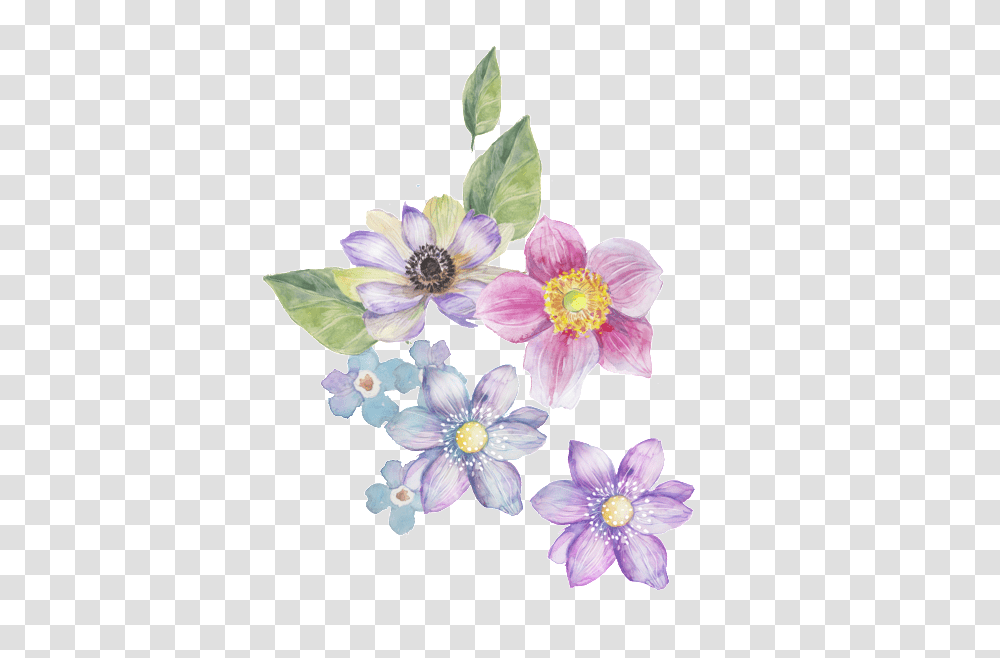 Four Color Flower Decorative Background Decorative Flower, Plant, Blossom, Anemone, Geranium Transparent Png