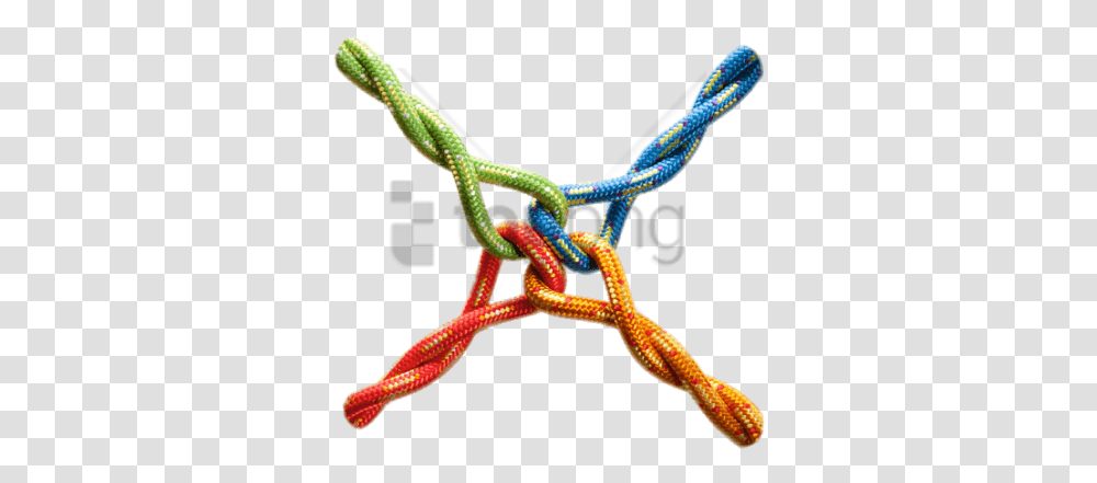 Four Knotted Ropes Image With Background Strengthening The Team, Lizard, Reptile, Animal, Snake Transparent Png