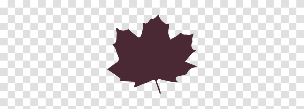 Four Leaf Clover Clipart Clipart, Plant, Tree, Maple Leaf, Person Transparent Png