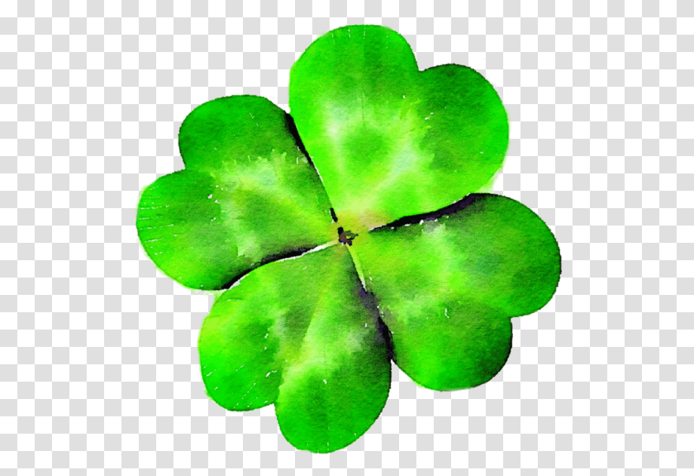 Four Leaf Clover Clover Green St Patty S Day Four Leaves Clover, Plant, Tennis Ball, Sport, Sports Transparent Png