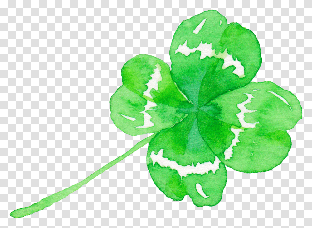 Four Leaf Clover Green, Plant, Geranium, Flower, Blossom Transparent Png