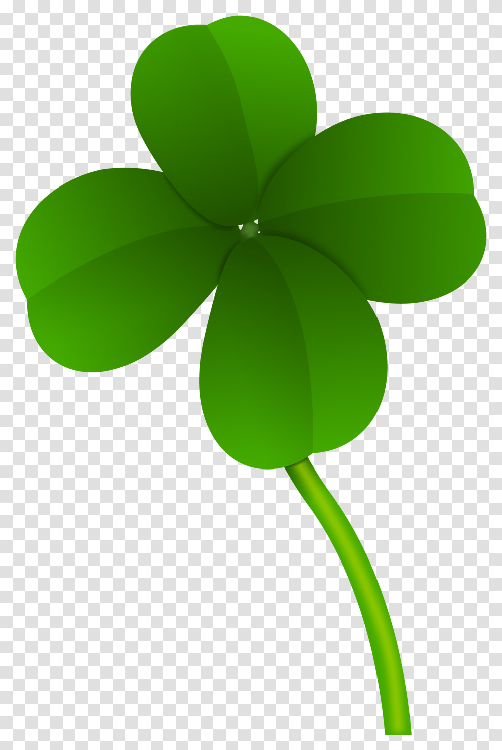 Four Leaf Clover Stem, Green, Plant, Balloon, Flower Transparent Png