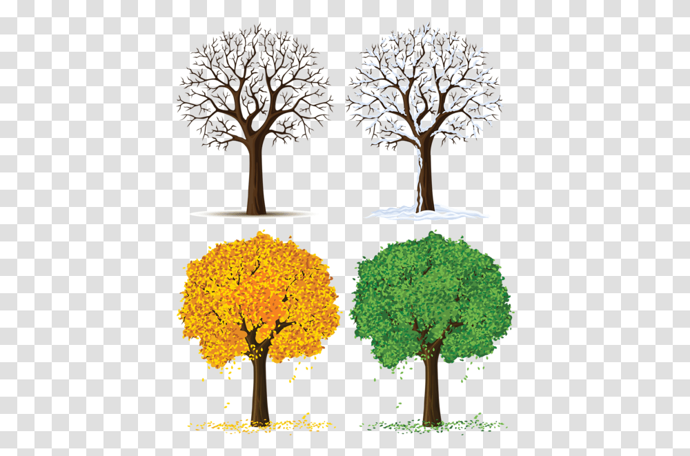 Four Seasons Trees Clipart Strom, Plant, Vegetation, Tree Trunk, Maple Transparent Png