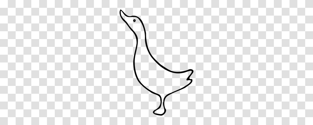 Fowl Animals, Gray, World Of Warcraft Transparent Png